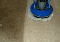Bellflower carpet cleaners