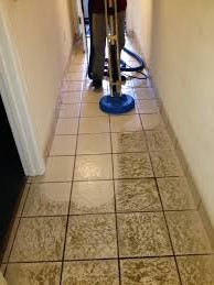 Bellflower carpet cleaners